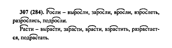 Русский язык, 5 класс, М.М. Разумовская, 2004 / 2009, задание: 307 (284)
