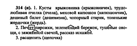 Русский язык, 5 класс, М.М. Разумовская, 2004 / 2009, задание: 314 (H)
