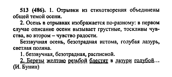 Русский язык, 5 класс, М.М. Разумовская, 2004 / 2009, задание: 513 (486)