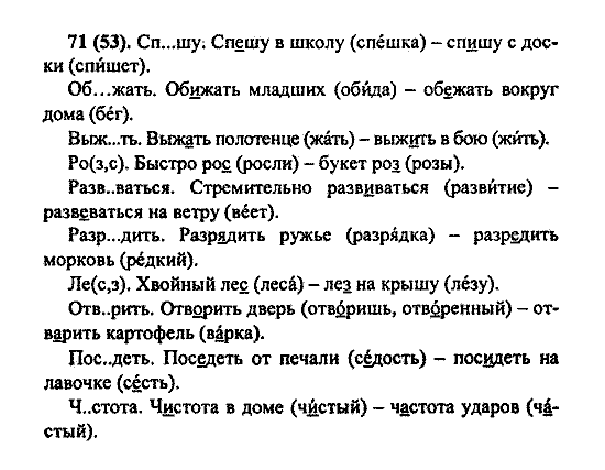 Русский язык, 5 класс, М.М. Разумовская, 2004 / 2009, задание: 71(53)