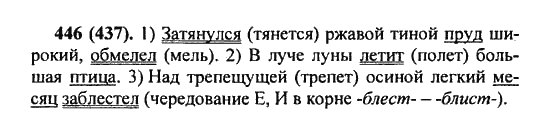 Русский язык, 5 класс, Разумовская, Львова, Капинос, 2013 - 2014 - 2015, задание: 446 (437)