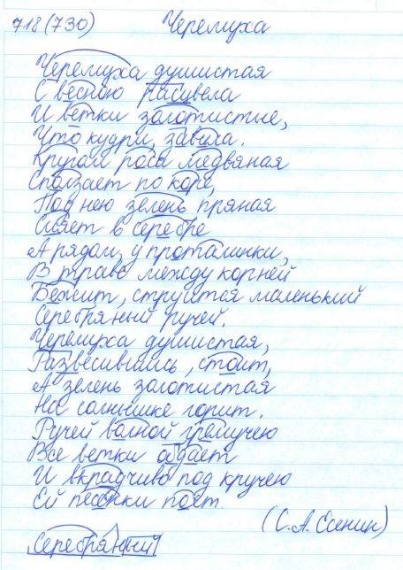 Русский язык, 5 класс, Баранов, Ладыженская, 2012 / 2015, задание: 718 (730)