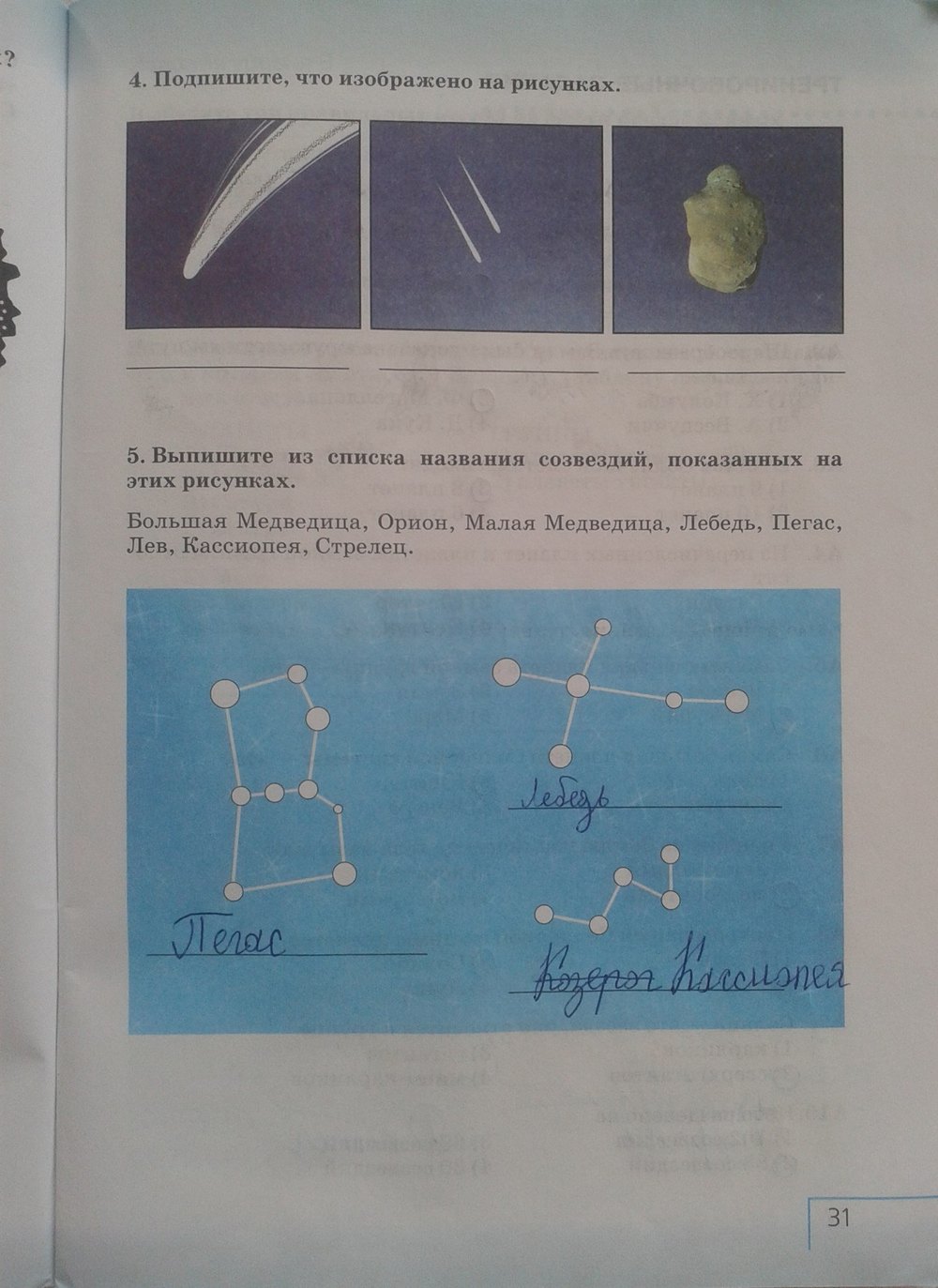 Рабочая тетрадь: Природоведение, 5 класс, Плешаков, Сонин, 2011, задача: стр. 31