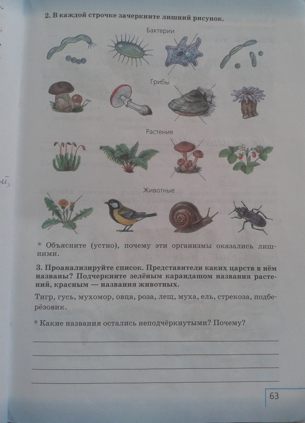 Рабочая тетрадь: Природоведение, 5 класс, Плешаков, Сонин, 2011, задача: стр. 63