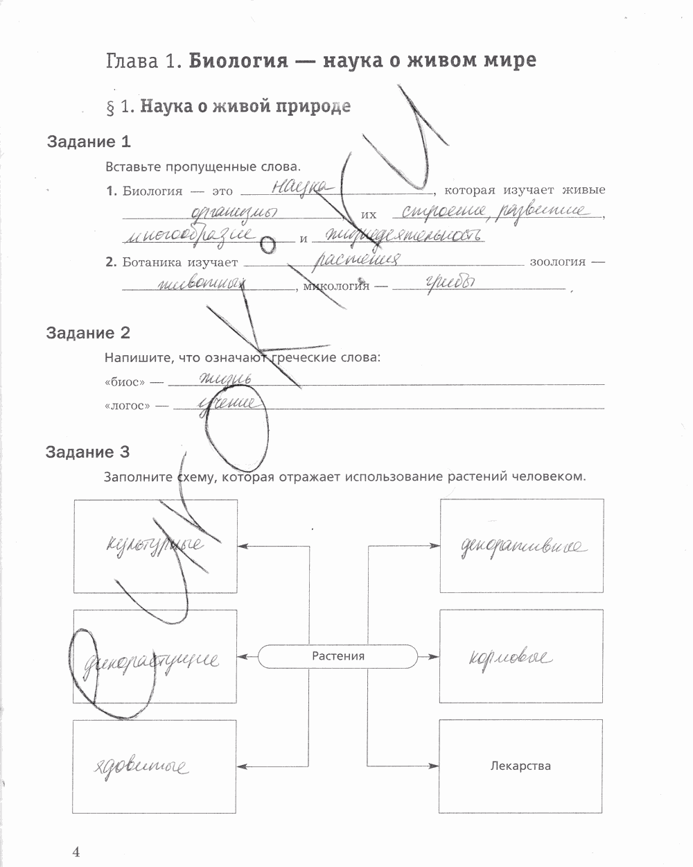 Рабочая тетрадь, 5 класс, Корнилова О.А., Николаев И.В., 2010 - 2015, задание: стр. 4