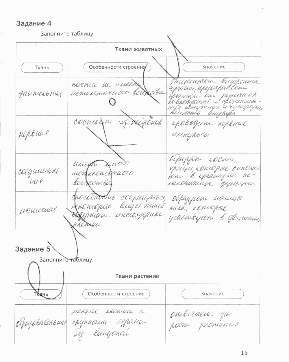 Рабочая тетрадь, 5 класс, Корнилова О.А., Николаев И.В., 2010 - 2015, задание: стр. 15