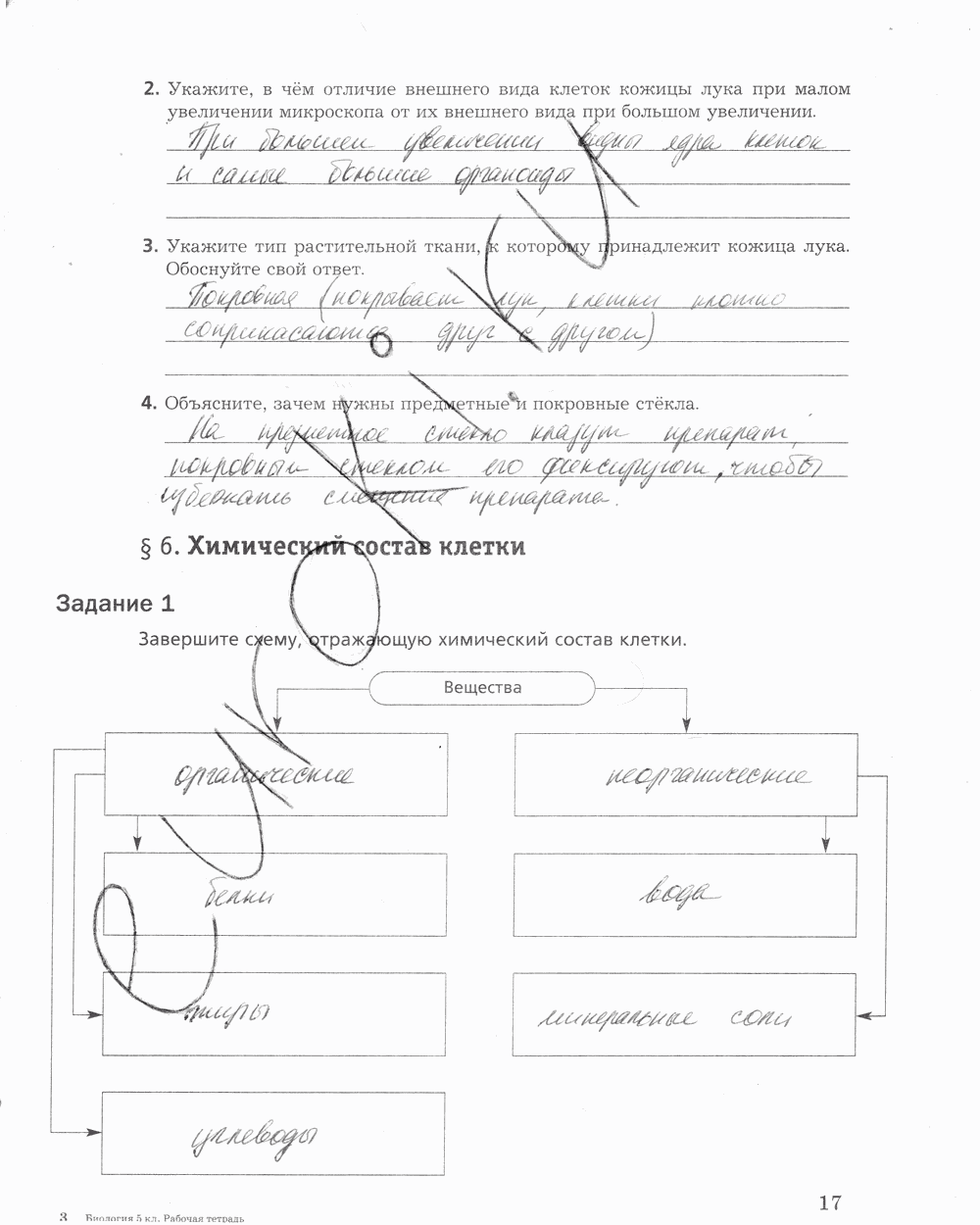 Рабочая тетрадь, 5 класс, Корнилова О.А., Николаев И.В., 2010 - 2015, задание: стр. 17