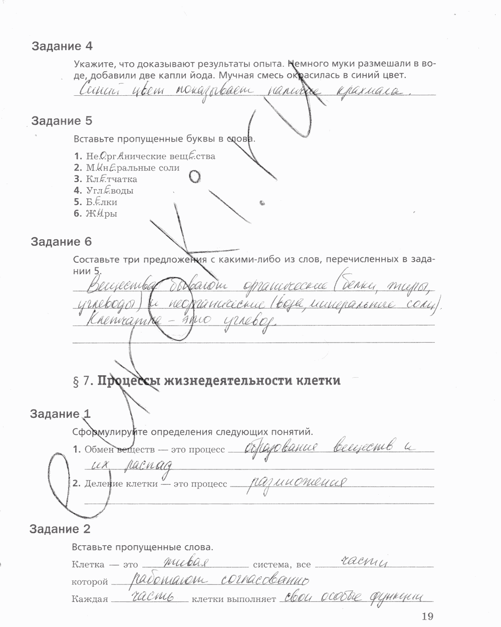 Рабочая тетрадь, 5 класс, Корнилова О.А., Николаев И.В., 2010 - 2015, задание: стр. 19