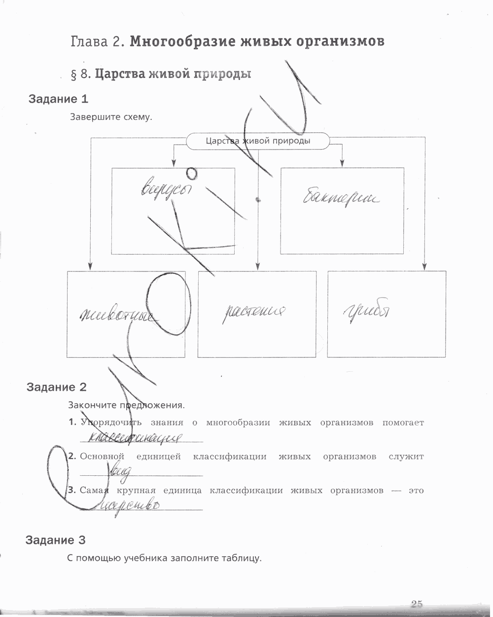 Рабочая тетрадь, 5 класс, Корнилова О.А., Николаев И.В., 2010 - 2015, задание: стр. 25