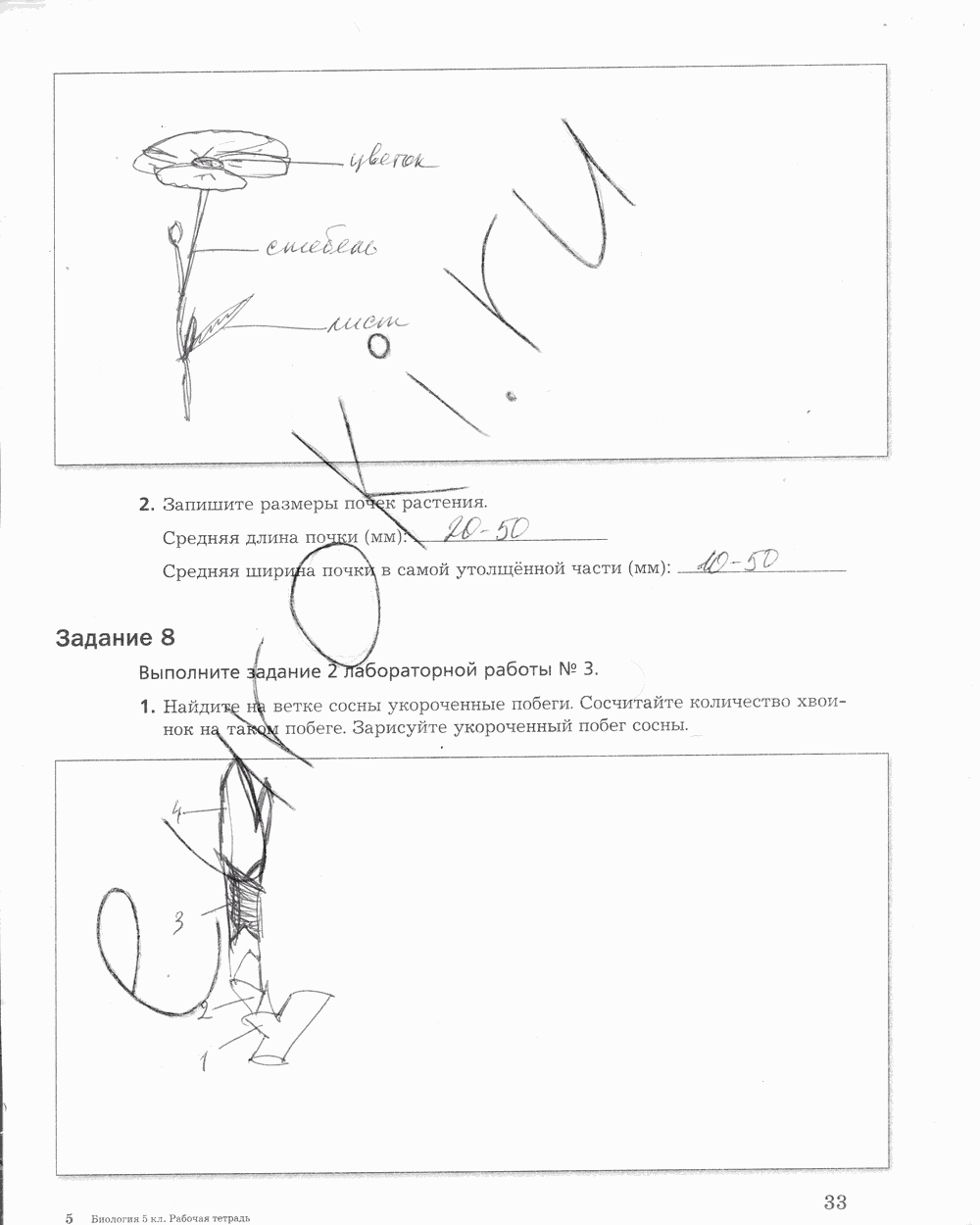 Рабочая тетрадь, 5 класс, Корнилова О.А., Николаев И.В., 2010 - 2015, задание: стр. 33