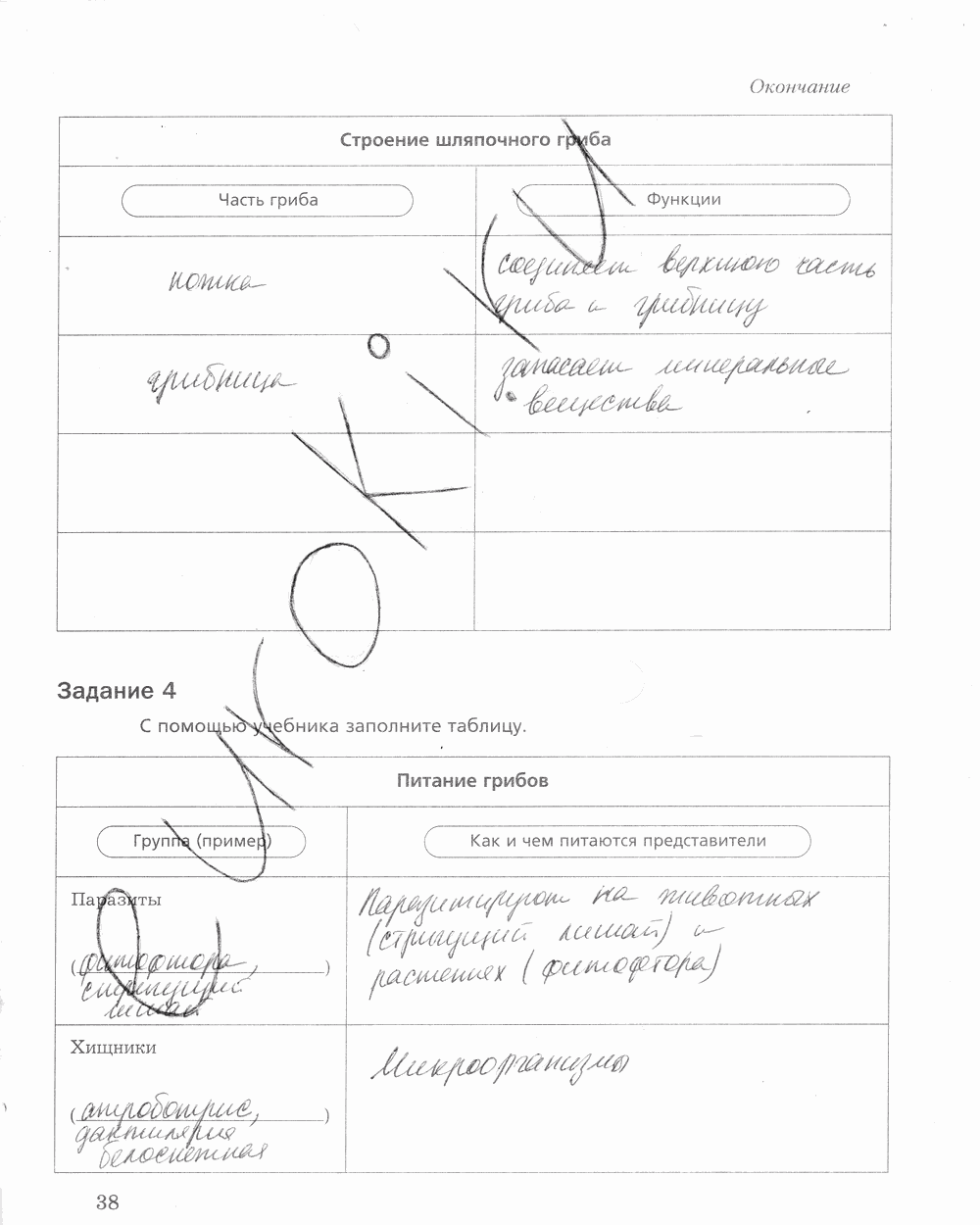 Рабочая тетрадь, 5 класс, Корнилова О.А., Николаев И.В., 2010 - 2015, задание: стр. 38