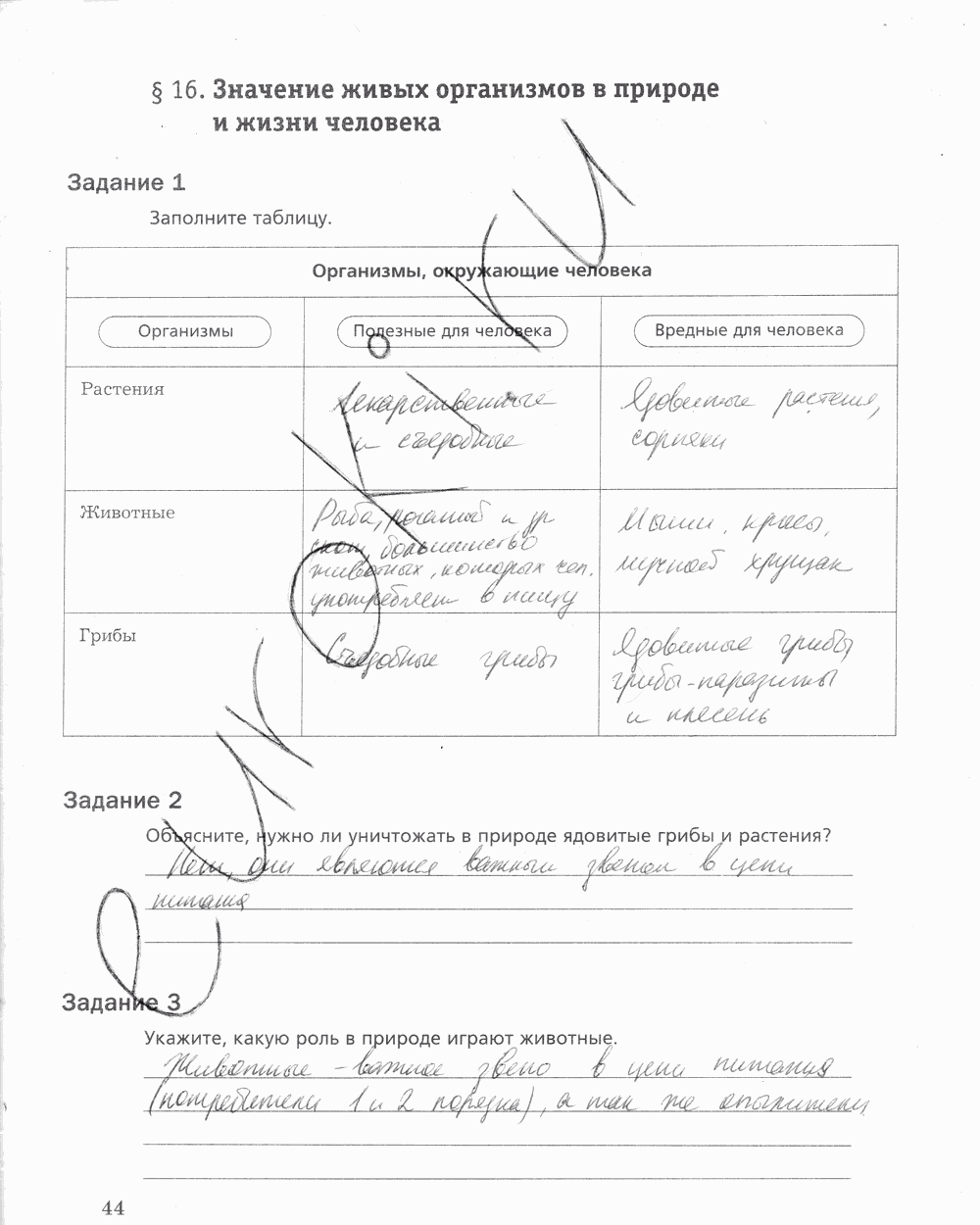 Рабочая тетрадь, 5 класс, Корнилова О.А., Николаев И.В., 2010 - 2015, задание: стр. 44