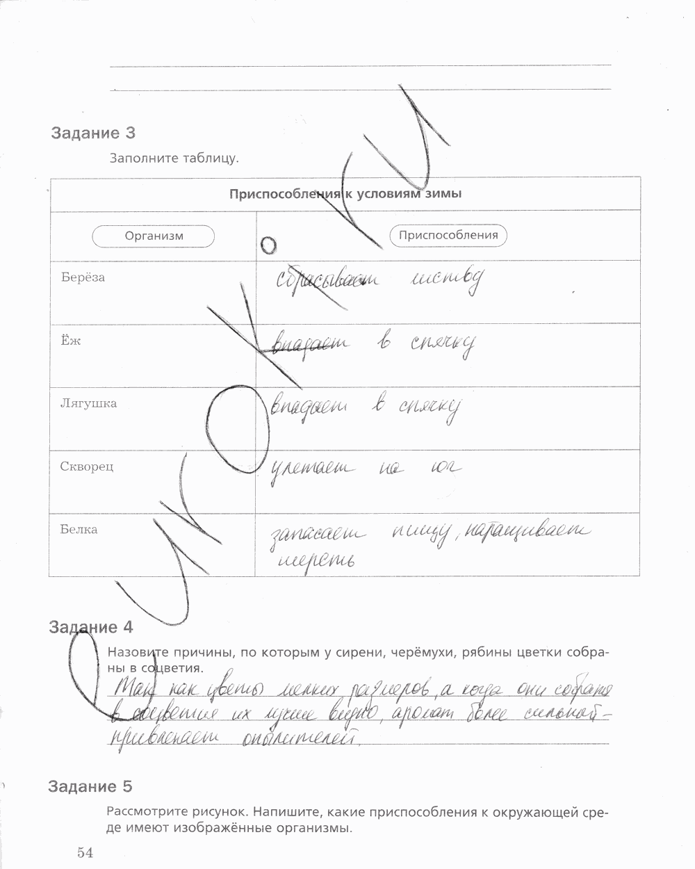 Рабочая тетрадь, 5 класс, Корнилова О.А., Николаев И.В., 2010 - 2015, задание: стр. 54