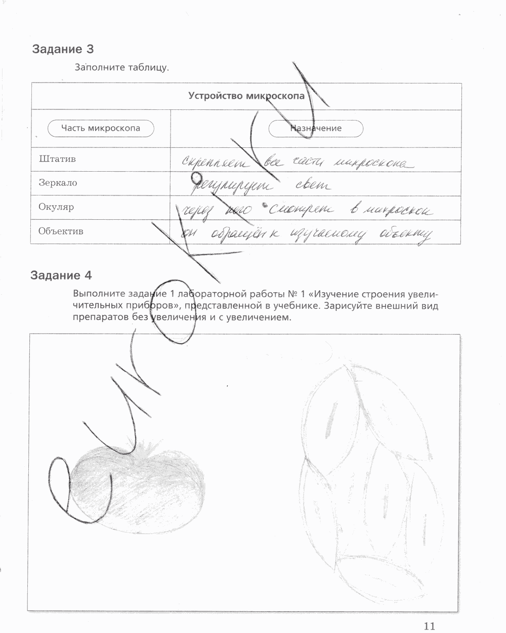 Рабочая тетрадь, 5 класс, Корнилова О.А., Николаев И.В., 2010 - 2015, задание: стр. 11
