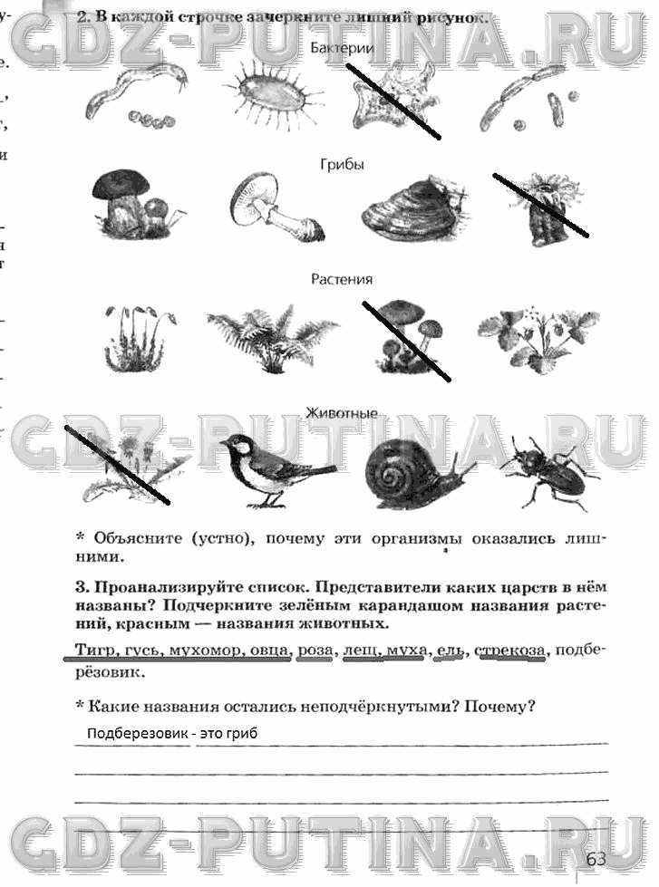 Рабочая тетрадь, 5 класс, Плешаков А.А., Сонин Н.И., 2014 - 2016, задание: 63