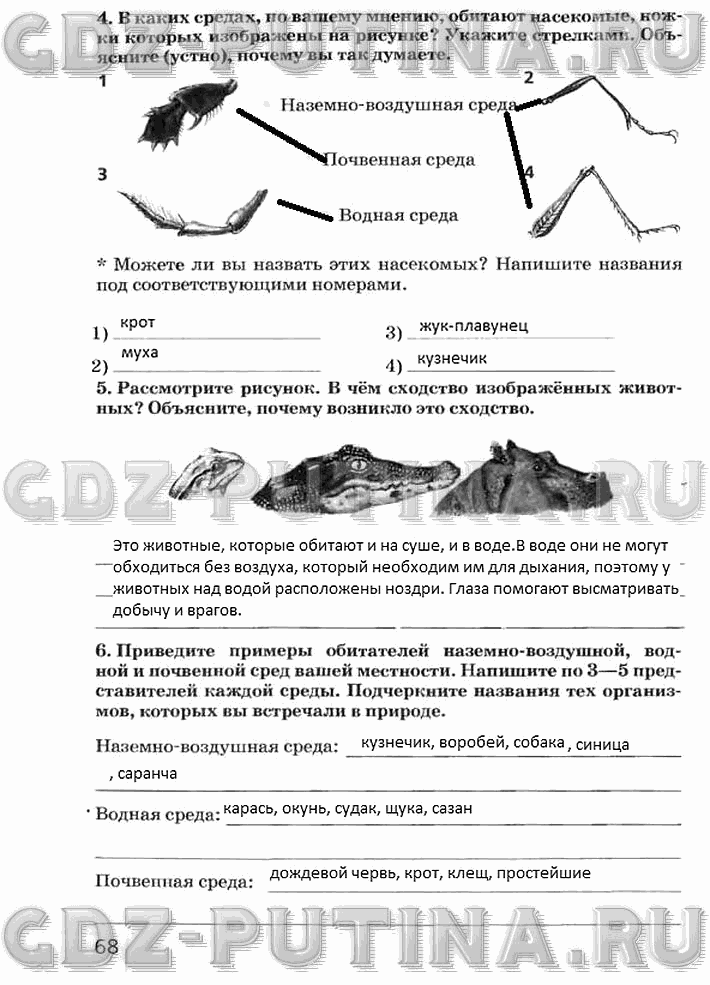 Рабочая тетрадь, 5 класс, Плешаков А.А., Сонин Н.И., 2014 - 2016, задание: 68