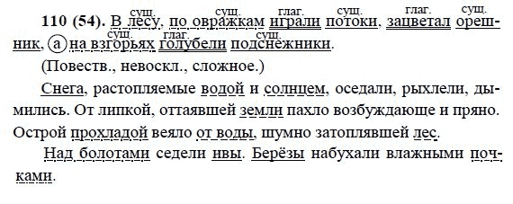 Русский язык, 6 класс, М.М. Разумовская, 2009 - 2011, задача: 110(54)