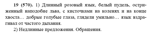 Русский язык, 6 класс, М.М. Разумовская, 2009 - 2011, задача: 19(570)