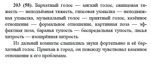 Русский язык, 6 класс, М.М. Разумовская, 2009 - 2011, задача: 203(58)