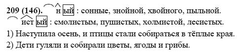 Русский язык, 6 класс, М.М. Разумовская, 2009 - 2011, задача: 209(146)