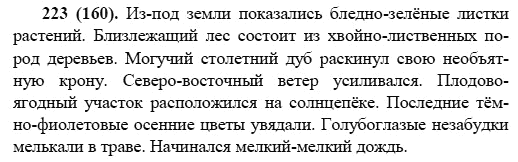 Русский язык, 6 класс, М.М. Разумовская, 2009 - 2011, задача: 223(160)