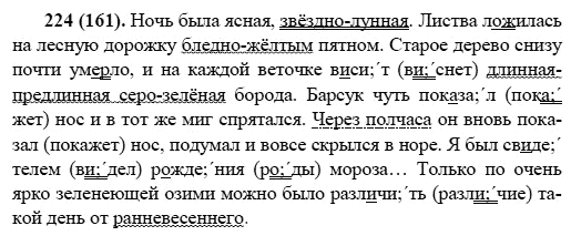 Русский язык, 6 класс, М.М. Разумовская, 2009 - 2011, задача: 224(161)