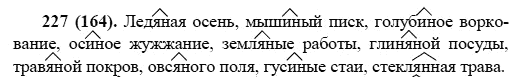 Русский язык, 6 класс, М.М. Разумовская, 2009 - 2011, задача: 227(164)