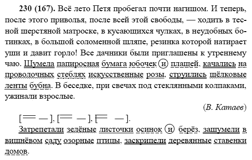 Русский язык, 6 класс, М.М. Разумовская, 2009 - 2011, задача: 230(167)