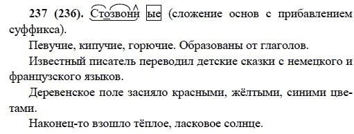 Русский язык, 6 класс, М.М. Разумовская, 2009 - 2011, задача: 237(236)