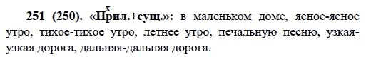 Русский язык, 6 класс, М.М. Разумовская, 2009 - 2011, задача: 251(250)