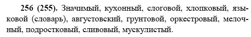 Русский язык, 6 класс, М.М. Разумовская, 2009 - 2011, задача: 256(255)