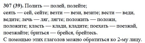Русский язык, 6 класс, М.М. Разумовская, 2009 - 2011, задача: 307(39)
