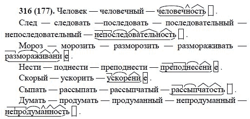 Русский язык, 6 класс, М.М. Разумовская, 2009 - 2011, задача: 316(177)