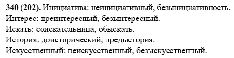 Русский язык, 6 класс, М.М. Разумовская, 2009 - 2011, задача: 340(202)
