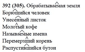 Русский язык, 6 класс, М.М. Разумовская, 2009 - 2011, задача: 392(305)
