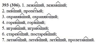 Русский язык, 6 класс, М.М. Разумовская, 2009 - 2011, задача: 393(306)