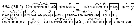 Русский язык, 6 класс, М.М. Разумовская, 2009 - 2011, задача: 394(307)
