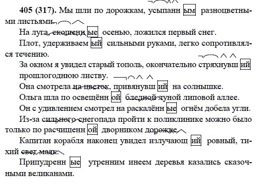 Русский язык, 6 класс, М.М. Разумовская, 2009 - 2011, задача: 405(317)