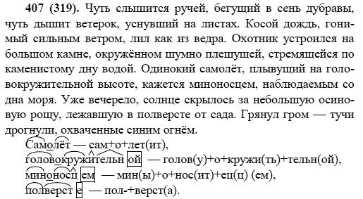 Русский язык, 6 класс, М.М. Разумовская, 2009 - 2011, задача: 407(319)