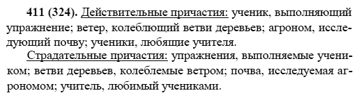 Русский язык, 6 класс, М.М. Разумовская, 2009 - 2011, задача: 411(324)