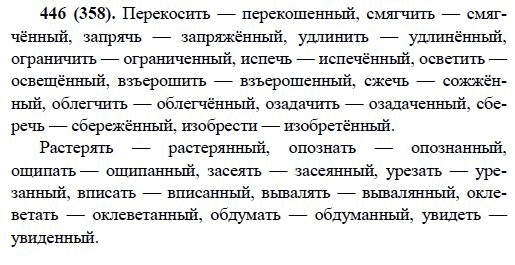 Русский язык, 6 класс, М.М. Разумовская, 2009 - 2011, задача: 446(358)