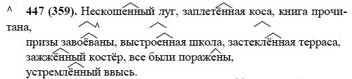 Русский язык, 6 класс, М.М. Разумовская, 2009 - 2011, задача: 447(359)