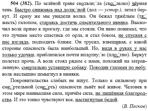 Русский язык, 6 класс, М.М. Разумовская, 2009 - 2011, задача: 504(382)