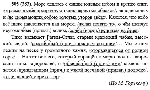 Русский язык, 6 класс, М.М. Разумовская, 2009 - 2011, задача: 505(383)