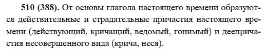 Русский язык, 6 класс, М.М. Разумовская, 2009 - 2011, задача: 510(388)
