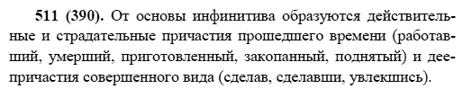 Русский язык, 6 класс, М.М. Разумовская, 2009 - 2011, задача: 511(390)