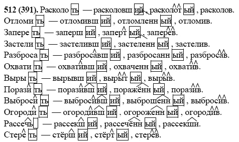 Русский язык, 6 класс, М.М. Разумовская, 2009 - 2011, задача: 512(391)
