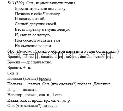 Русский язык, 6 класс, М.М. Разумовская, 2009 - 2011, задача: 513(392)