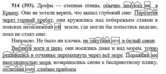 Русский язык, 6 класс, М.М. Разумовская, 2009 - 2011, задача: 514(393)