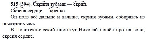 Русский язык, 6 класс, М.М. Разумовская, 2009 - 2011, задача: 515(394)